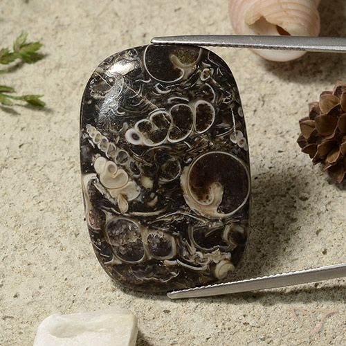 35.69ct Natural Multicolorido Jaspe, Almofada, Opaco