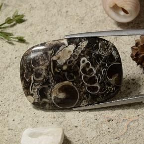 Jaspe Multicolorido Natural 35.69ct, Almofada, Opaco