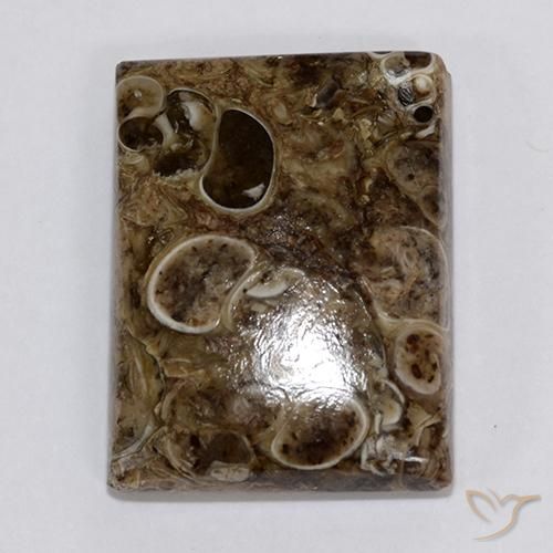 Jaspe Multicolorido Natural 18.34ct, baguete, Opaco