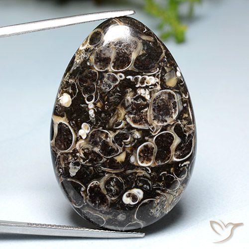 39.93ct Natural Multicolorido Jaspe, Formato de pêra, Opaco