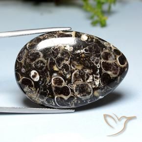 Jaspe Multicolorido Natural 39.93ct, Formato de pêra, Opaco