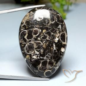 Jaspe Multicolorido Natural 39.93ct, Formato de pêra, Opaco