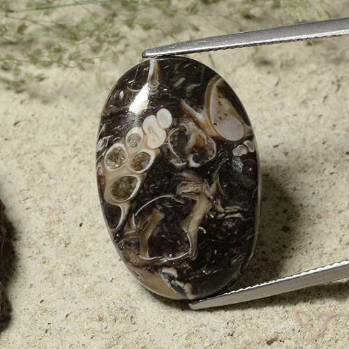 Pedra preciosa oval de jaspe de 22,52 quilates para venda, jaspe certificado solto da Indonésia, Gema natural não tratada, 24,9 x 16,7 mm, Photo A