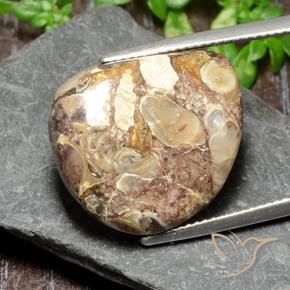 Jaspe Multicolorido Natural 17.47ct, Chique, Opaco
