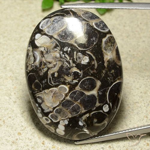 43.81ct Natural Multicolorido Jaspe, oval, Opaco, Photo A