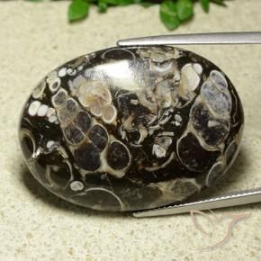 Jaspe Multicolorido Natural 43.81ct, oval, Opaco