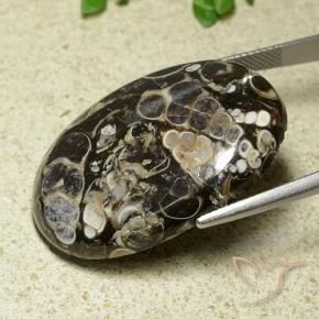 Jaspe Multicolorido Natural 43.81ct, oval, Opaco
