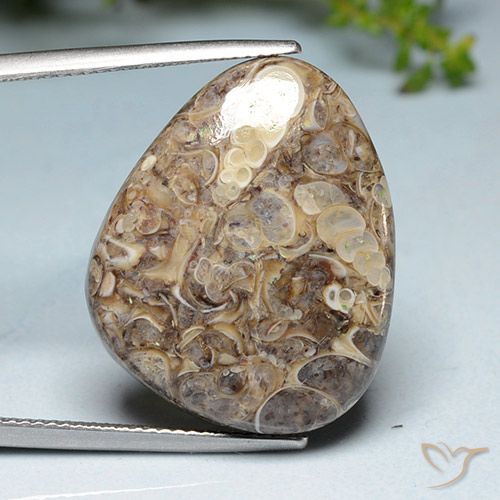 20.52ct Natural Multicolorido Jaspe, Chique, Opaco