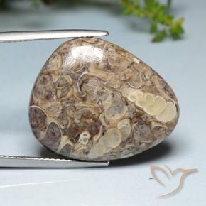 Jaspe Multicolorido Natural 20.52ct, Chique, Opaco