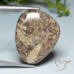 Jaspe Multicolorido Natural 20.52ct, Chique, Opaco