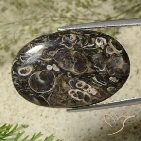Jaspe Multicolorido Natural 28.41ct, oval, Opaco