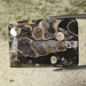 Jaspe Multicolorido Natural 27.44ct, baguete, Opaco