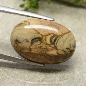 Jaspe multicolorido natural 13,79ct, corte oval, opaco