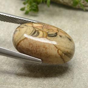 Jaspe multicolorido natural 13,79ct, corte oval, opaco