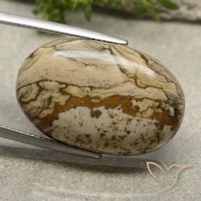 Jaspe Multicolorido Natural 22.94ct, oval, Opaco