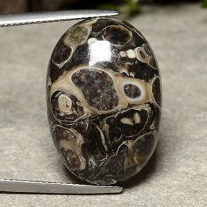 Jaspe multicolorido natural 22,57ct, corte oval, opaco