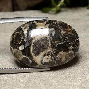 Jaspe multicolorido natural 22,57ct, corte oval, opaco