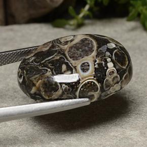 Jaspe multicolorido natural 22,57ct, corte oval, opaco