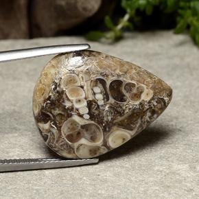 Jaspe multicolorido natural 14,09ct, formato de pêra, opaco
