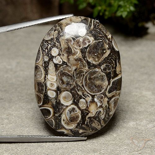 39.98ct Natural Multicolorido Jaspe, oval, Opaco
