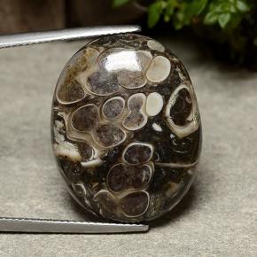 Jaspe multicolorido natural 20,30ct, corte oval, opaco
