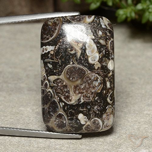 32.91ct Natural Multicolorido Jaspe, Almofada, Opaco