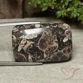 Jaspe Multicolorido Natural 32.91ct, Almofada, Opaco