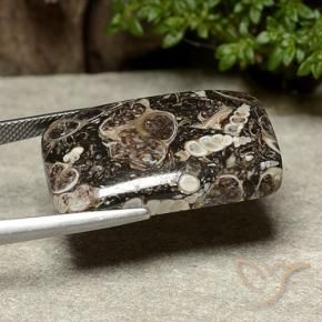 Jaspe Multicolorido Natural 32.91ct, Almofada, Opaco