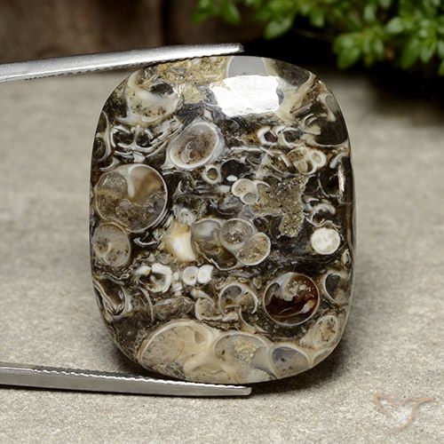 38.76ct Natural Multicolorido Jaspe, Almofada, Opaco