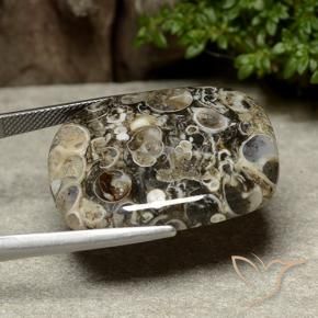 Jaspe Multicolorido Natural 38.76ct, Almofada, Opaco