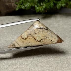 Jaspe multicolorido natural 15,95ct, trillion, opaco