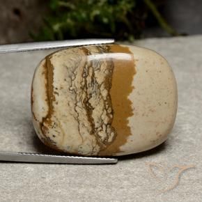 Jaspe Multicolorido Natural 47.11ct, Almofada, Opaco