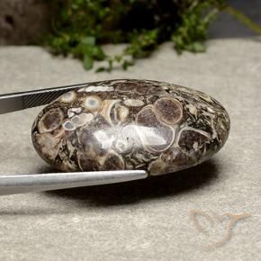 Jaspe Multicolorido Natural 39.13ct, oval, Opaco