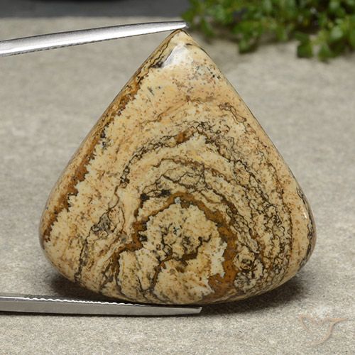 39.54ct Natural Multicolorido Jaspe, Formato de pêra, Opaco