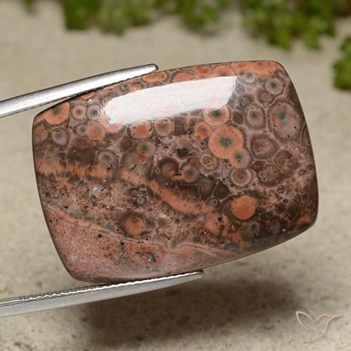 Jaspe Multicolorido Natural 31.13ct, Almofada, Opaco