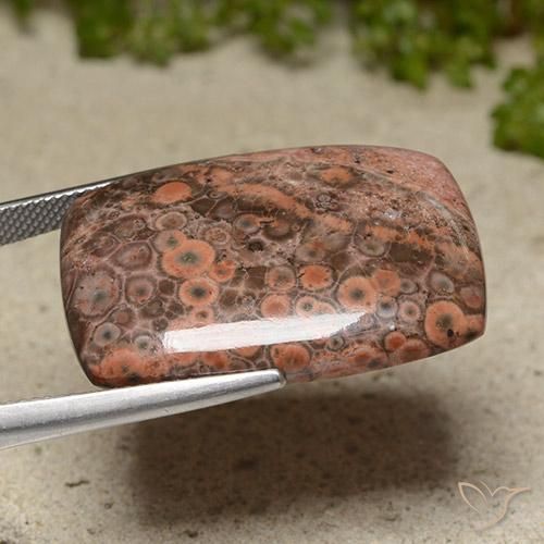 Jaspe Multicolorido Natural 31.13ct, Almofada, Opaco