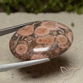 Jaspe Multicolorido Natural 28.24ct, oval, Opaco