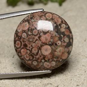 Jaspe multicolorido natural 16,37ct, corte redondo, opaco