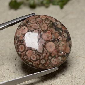 Jaspe multicolorido natural 16,37ct, corte redondo, opaco