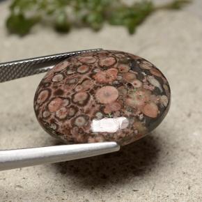Jaspe multicolorido natural 16,37ct, corte redondo, opaco