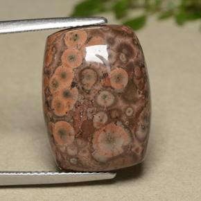 Jaspe multicolorido natural 11,81ct, almofada cortada, opaco
