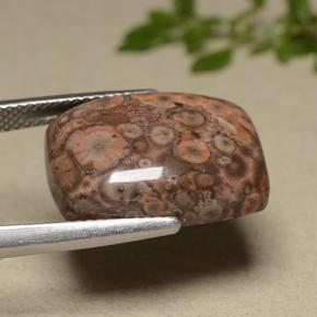 Jaspe multicolorido natural 11,81ct, almofada cortada, opaco