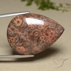 Jaspe Multicolorido Natural 27.32ct, Formato de pêra, Opaco