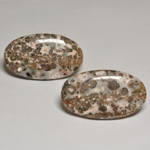 Pedras preciosas de Jaspe Multicolorido natural de 24.09 ct, Corte Oval, Opaco