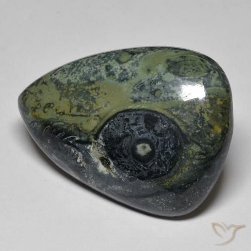 32.43ct Natural Multicolorido Jaspe, Formato de pêra, Opaco