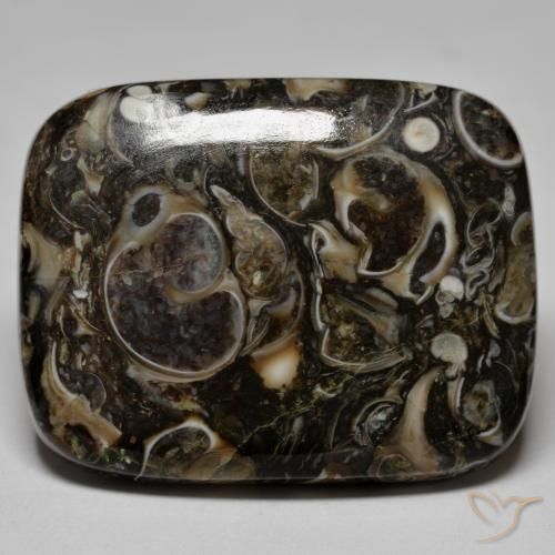 Jaspe Multicolorido Natural 23.67ct, Almofada, Opaco