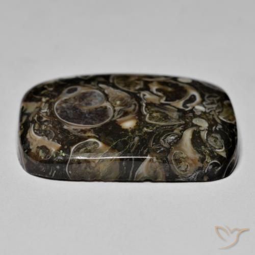 Jaspe Multicolorido Natural 23.67ct, Almofada, Opaco