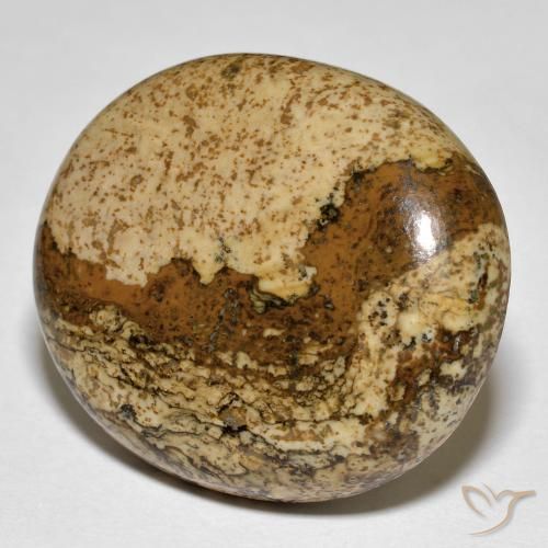 Jaspe Multicolorido Natural 32.88ct, oval, Opaco