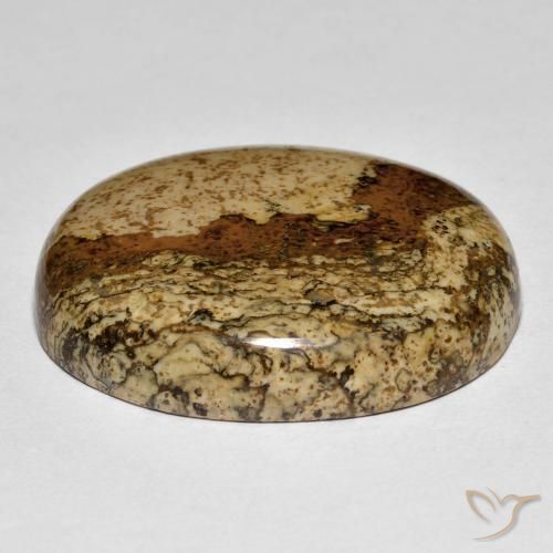 Jaspe Multicolorido Natural 32.88ct, oval, Opaco