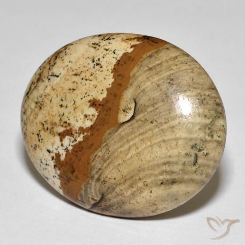 26.64ct Natural Multicolorido Jaspe, oval, Opaco